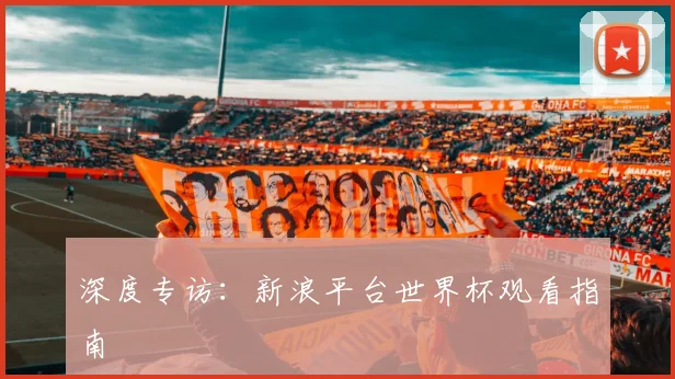 深度专访:新浪平台世界杯观看指南