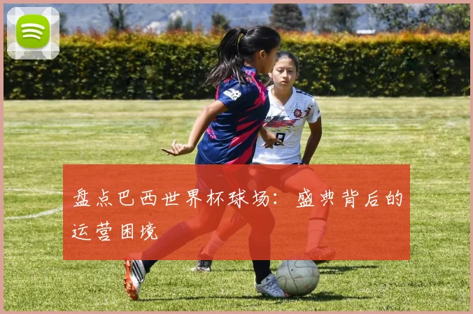 盘点巴西世界杯球场:盛典背后的运营困境